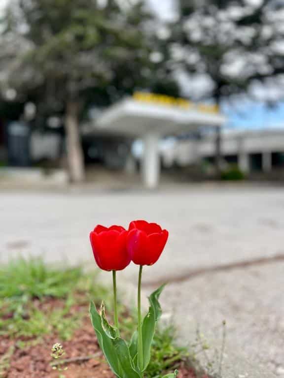 19-06-2025